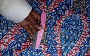 Cat Flea Lice Comb