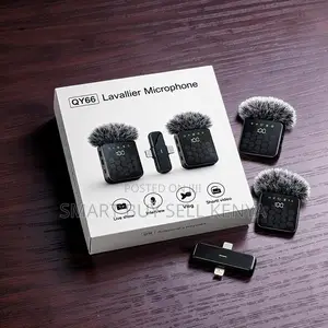 Type C Connector 3 in 1 Dual Mics Wireless Lavalier Microphone