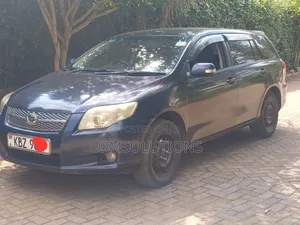 Toyota Corolla Fielder 2007 Gray