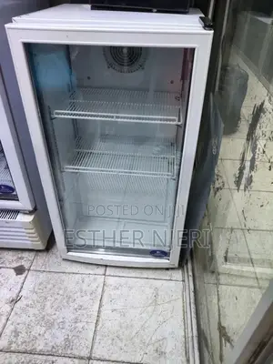 Freestanding Display Chiller 100litres