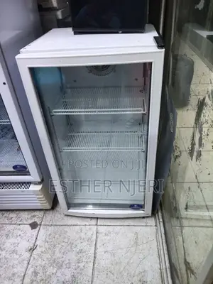 Freestanding Display Chiller 100litres