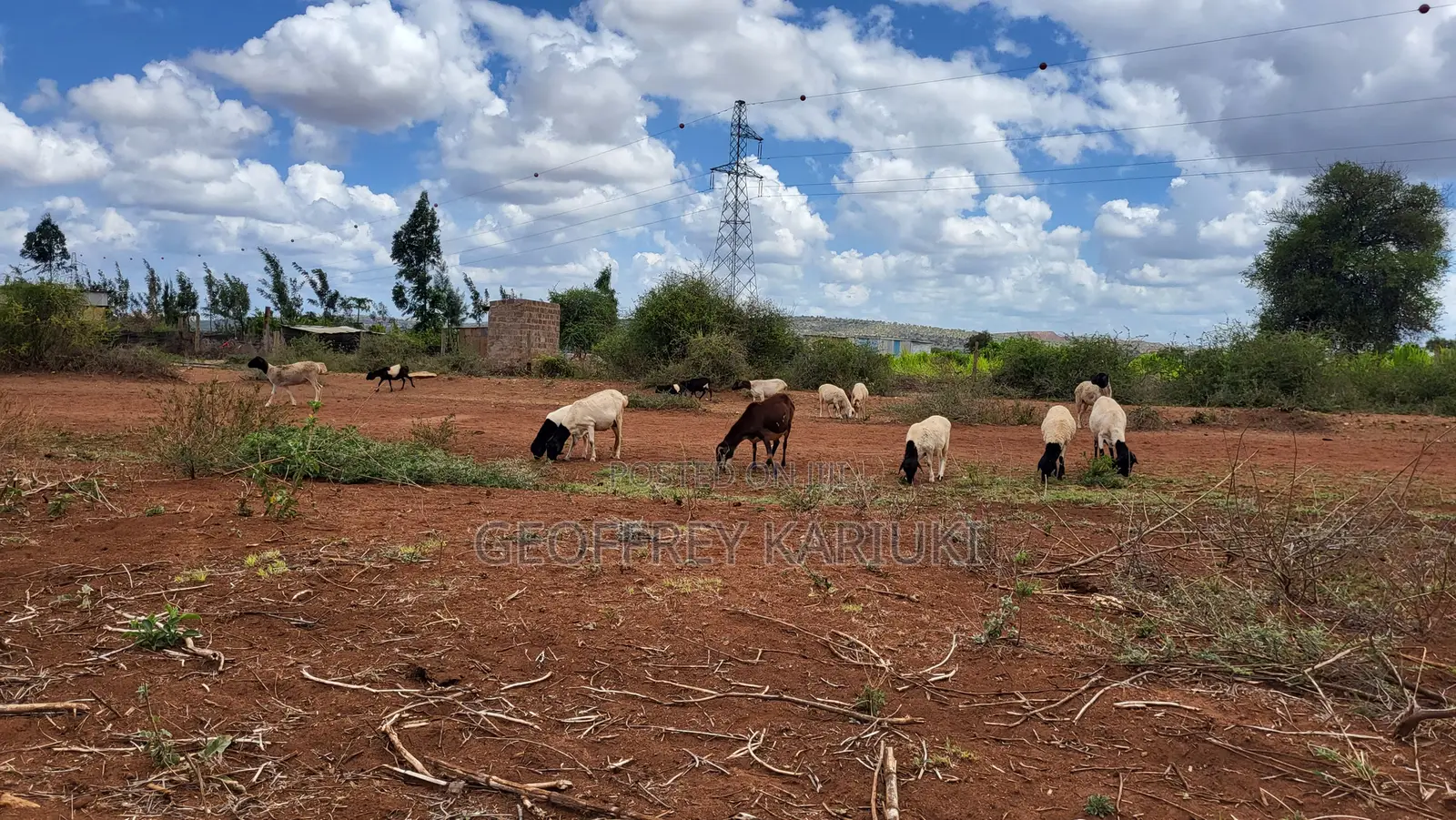 50×100 Plot for Sale in Imbirikani–Loitokitok |