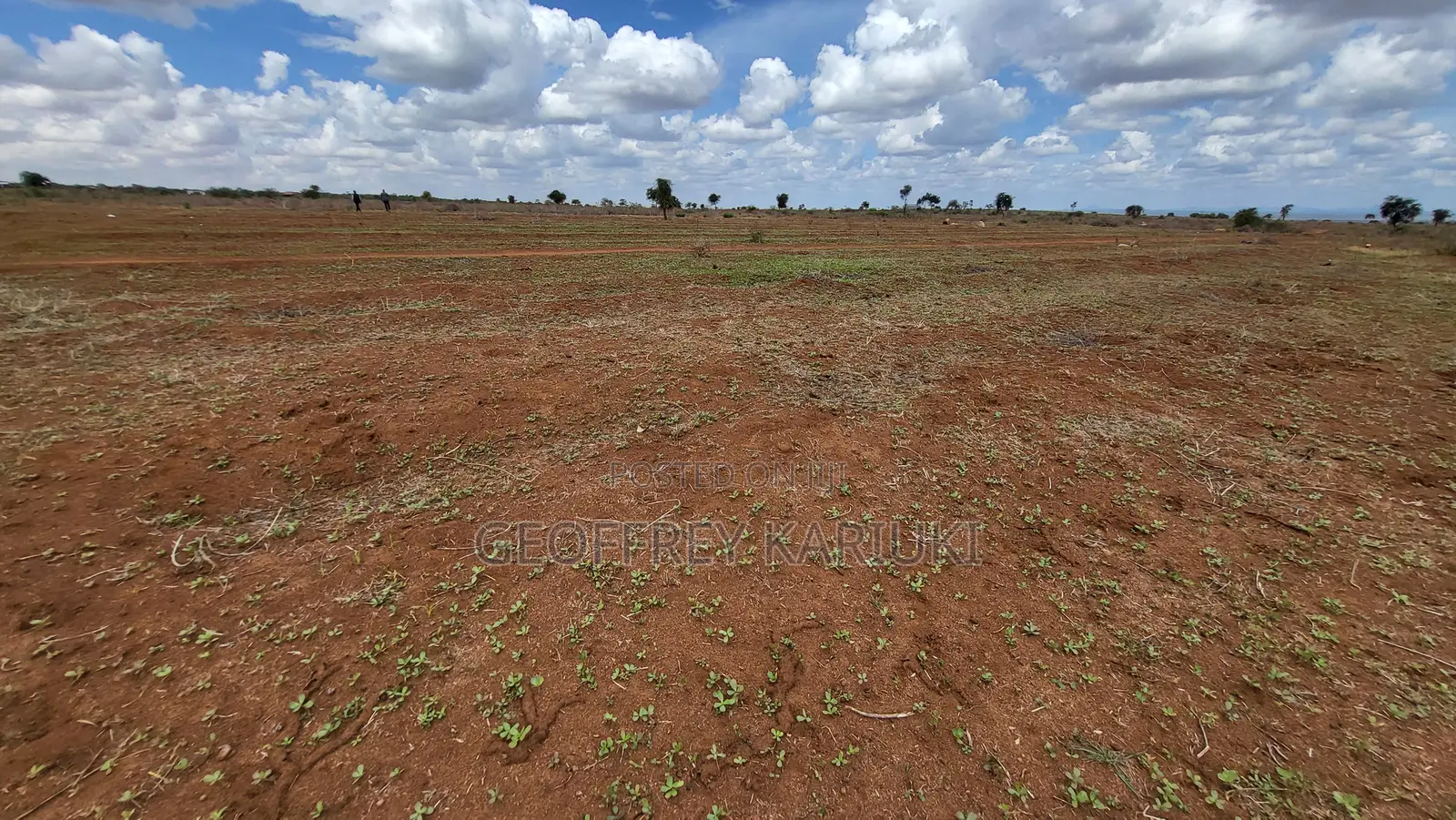 50×100 Plot for Sale in Imbirikani–Loitokitok |