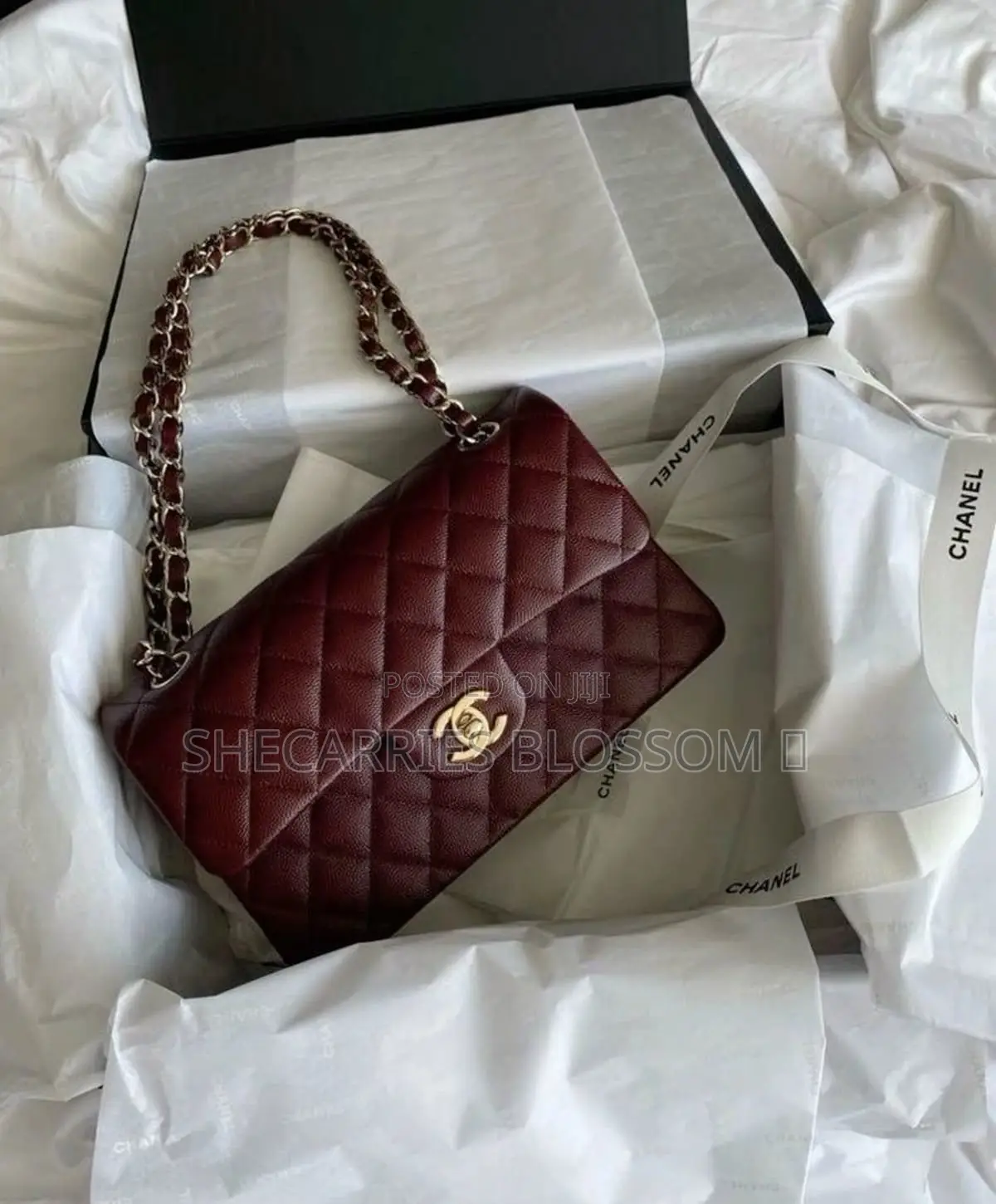 Aesthetic Woman Bags