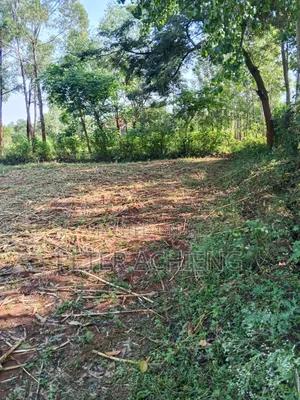 Residential/ Plot