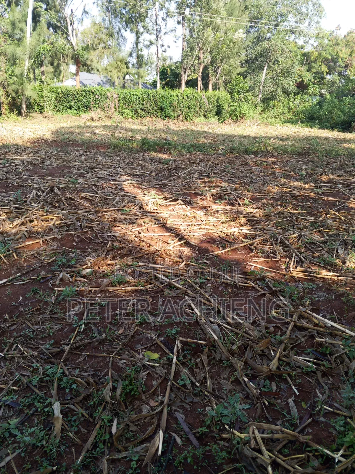 Residential/ Plot