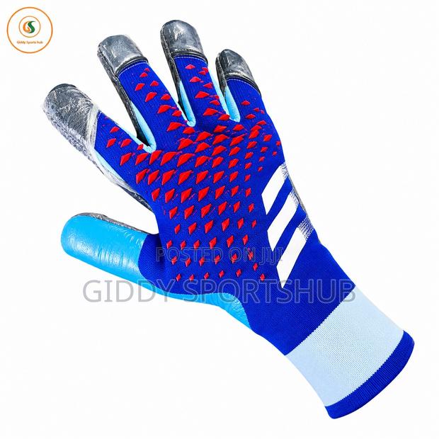 Predator Elite Grip Goalkeeper Gloves – Blue/Red Edition