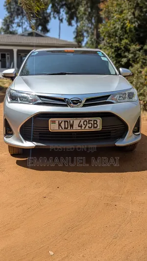 Toyota Axio 2018 Gray