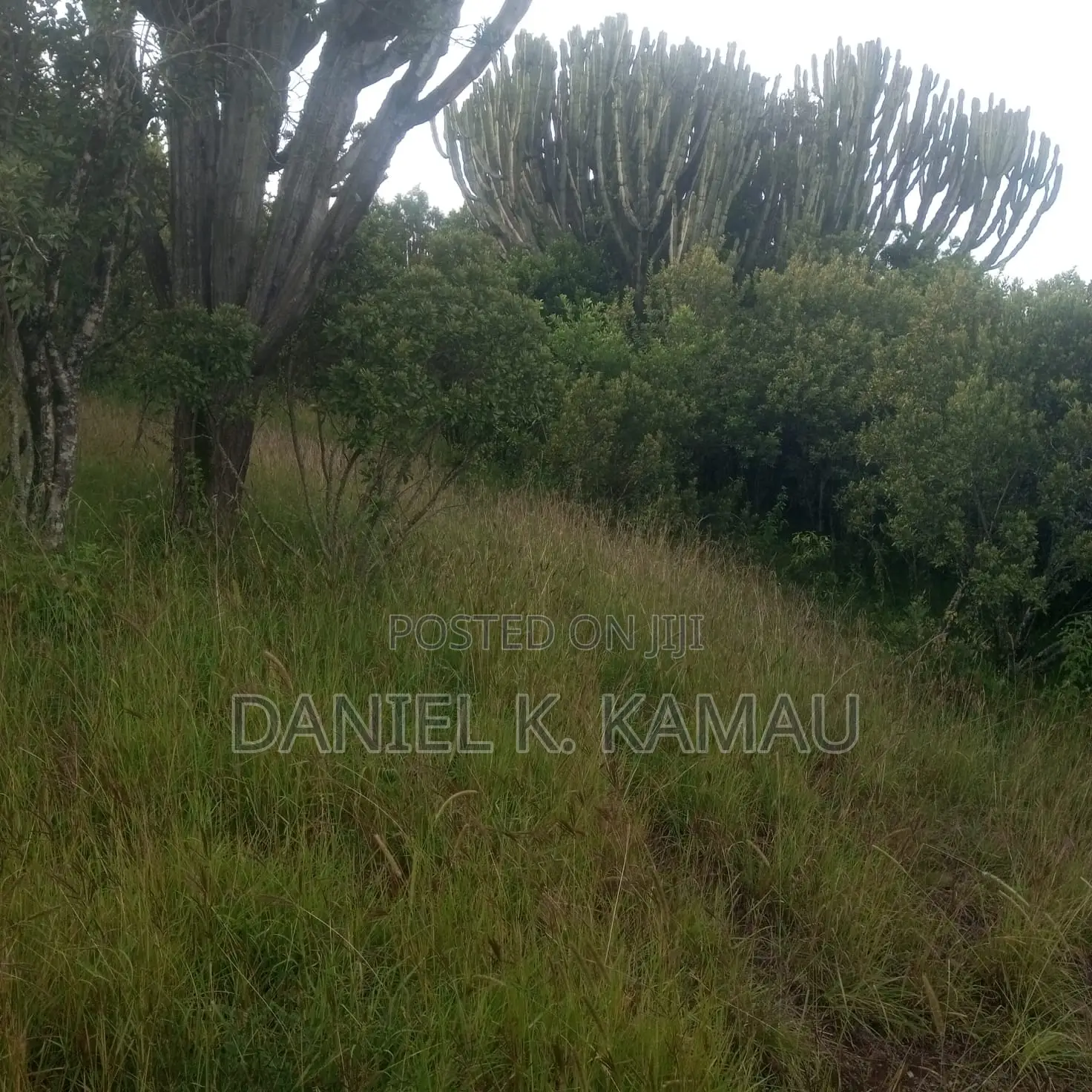3-Acre Plot, Kariguini, Close to Marina Centre, Nyeri-Nyahururu Road