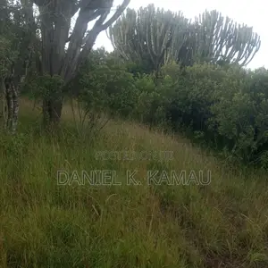 3-Acre Plot, Kariguini, Close to Marina Centre, Nyeri-Nyahururu Road
