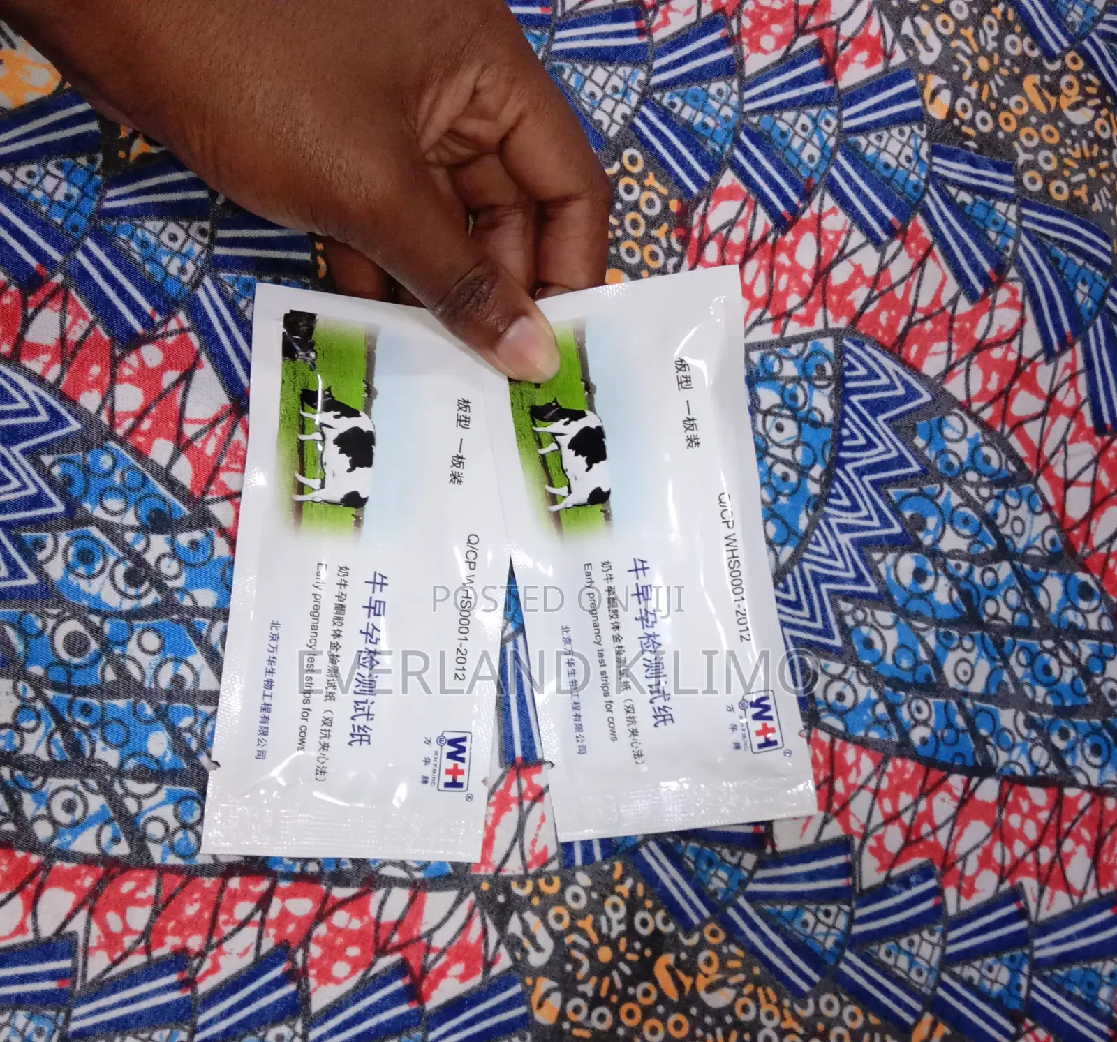 Pregnancy Test Strip for Cows - Each