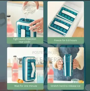 Portable Leakable Ice Cube Mold*