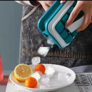 Portable Leakable Ice Cube Mold*