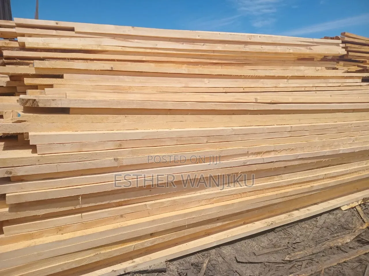 Affordable Timber With Great Quality:Cypress, Pine And Bluegum