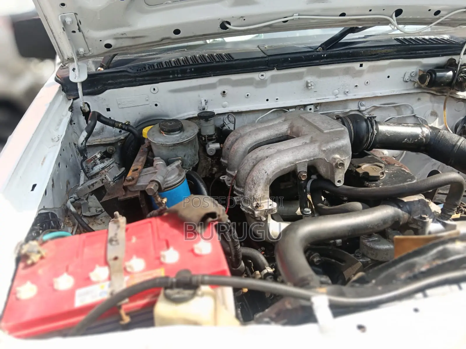 Nissan Hardbody 2000 White