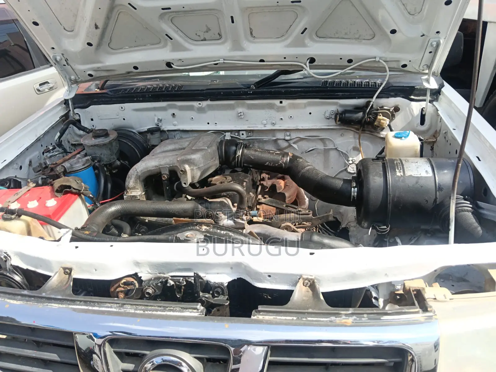 Nissan Hardbody 2000 White