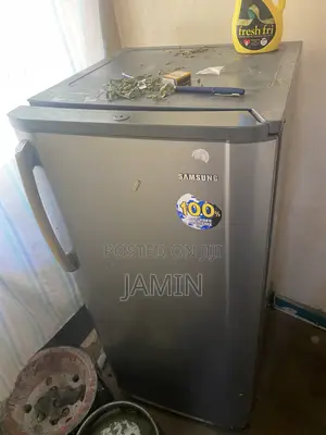 Samsung Fridge