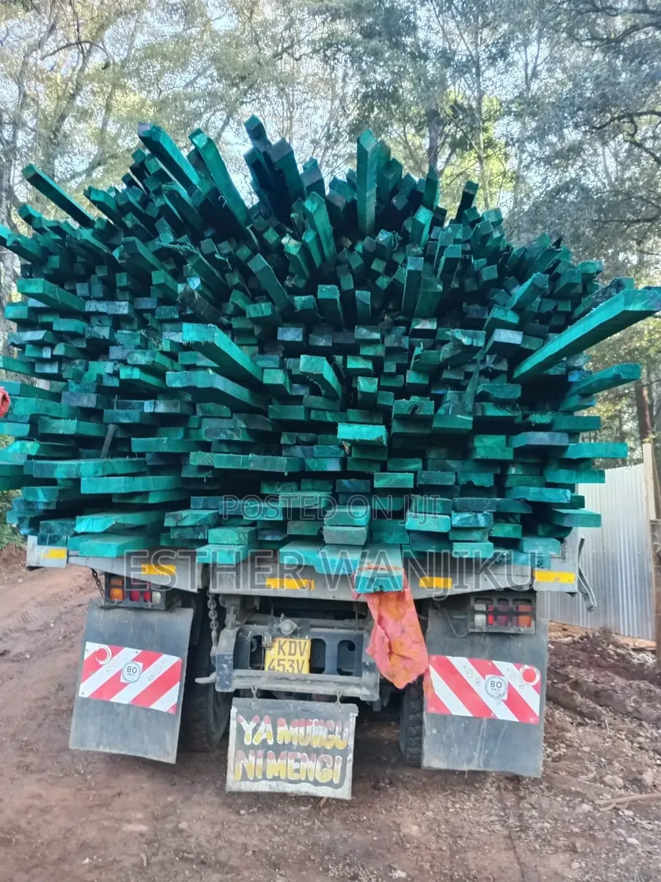 Affordable Timber With Great Quality:Cypress, Pine And Bluegum