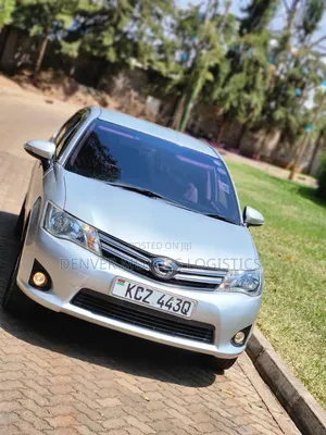 Toyota Axio 2013 Silver