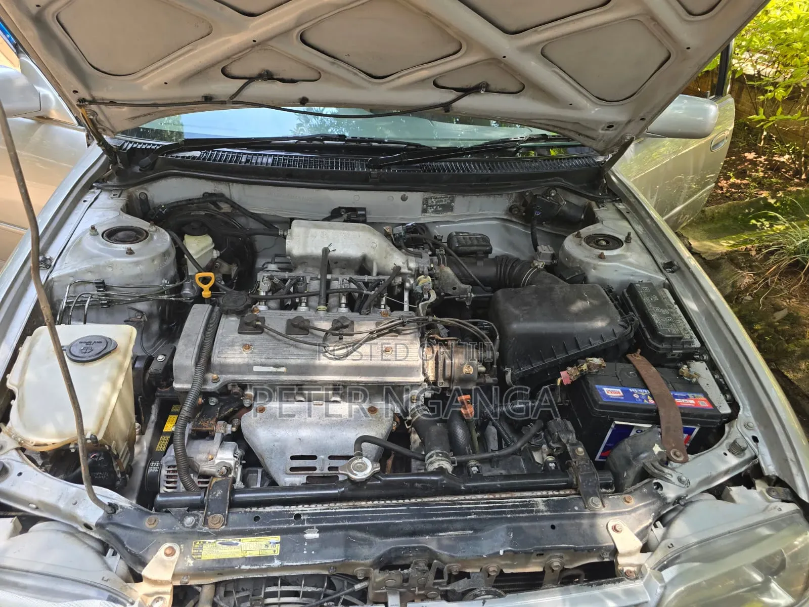 Toyota Corolla 1997 Silver