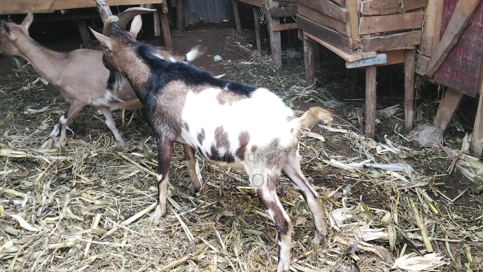 Agriculture