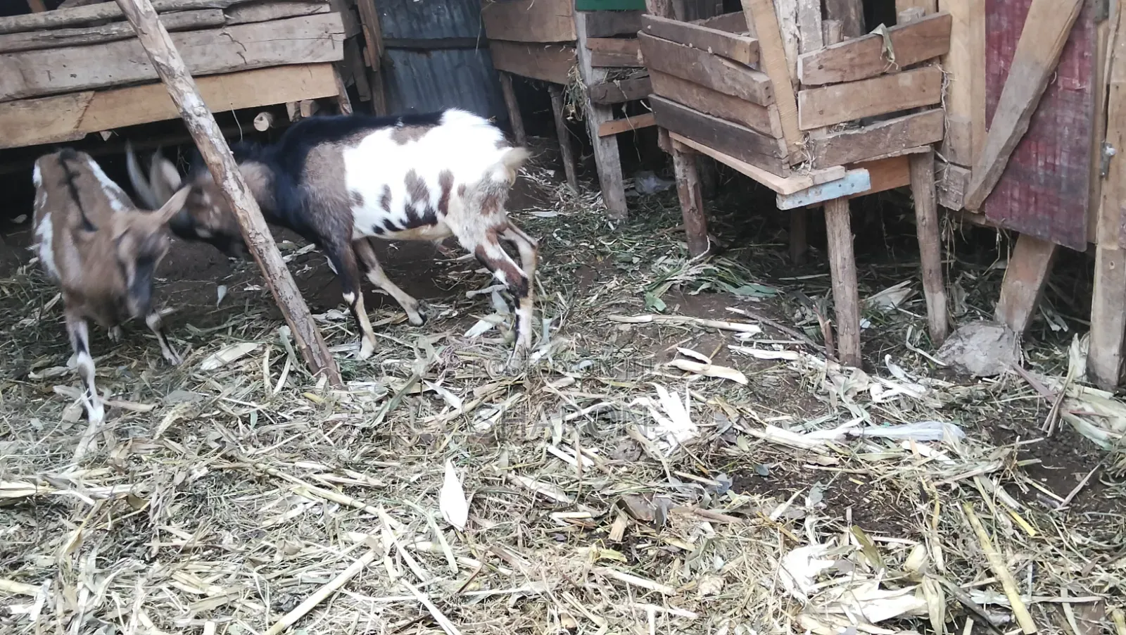 Agriculture