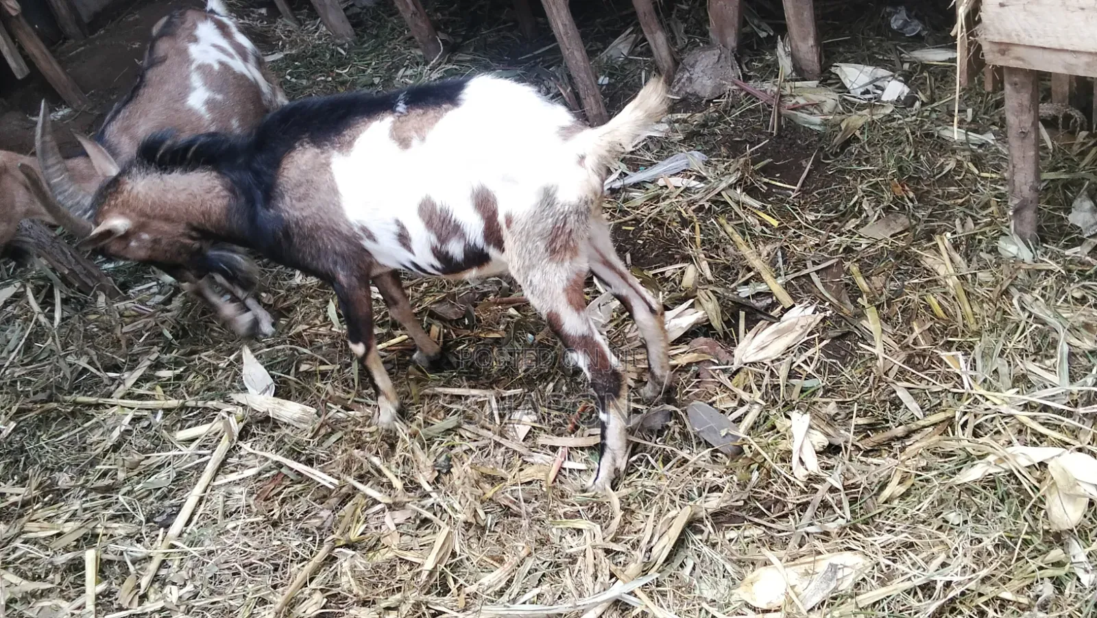 Agriculture