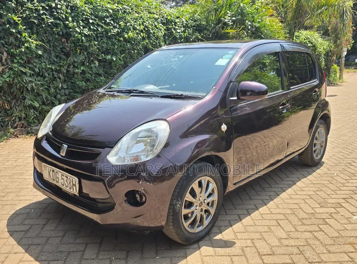 Toyota Passo 2014 Purple