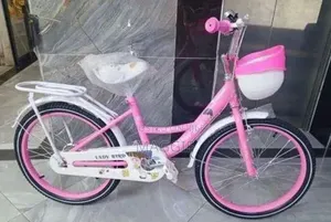 Comfortable Riding Lady Pink Bike