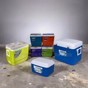 Removable Lid 4.5l,10l, 25l,32l Portable Cooler Box Ice Box