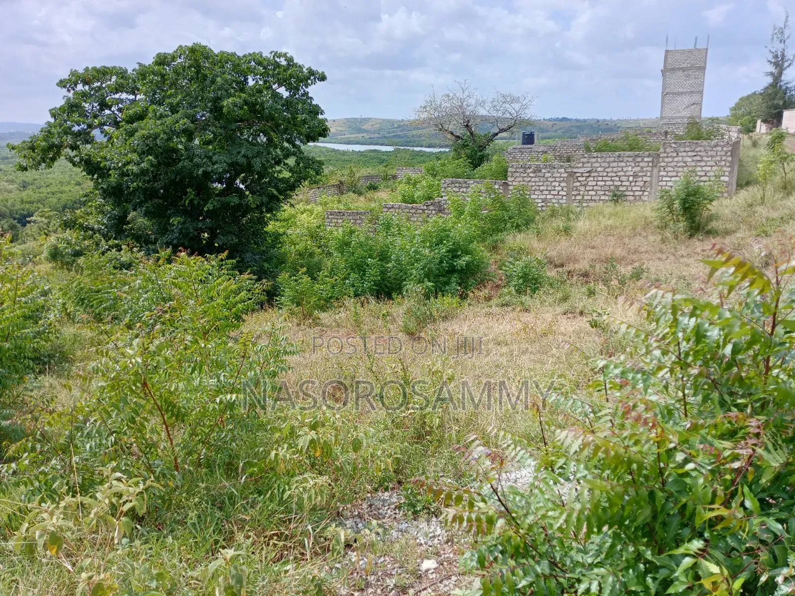 50 by 100 Plot for Sale With Tittle Deed in Jomvu