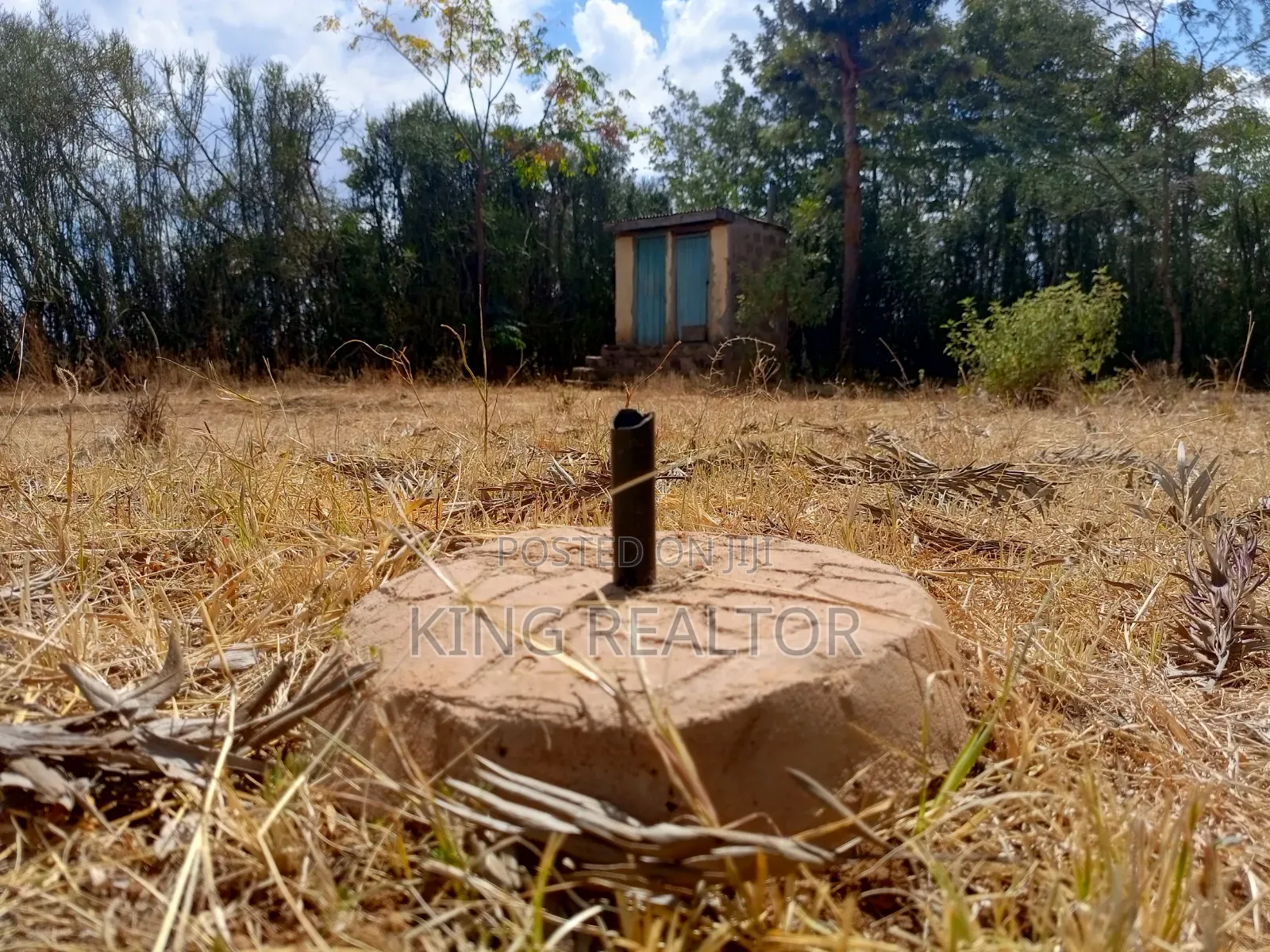 Kilimambogo at 