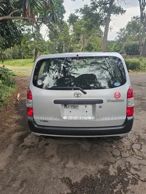 Toyota Probox 1.5 DX 4WD 2019 Silver