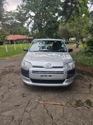 Toyota Probox 1.5 DX 4WD 2019 Silver