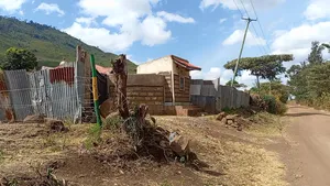Kiliku at 
