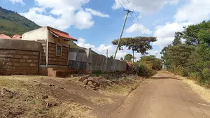 Kiliku at 