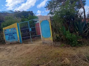 Kiliku at 