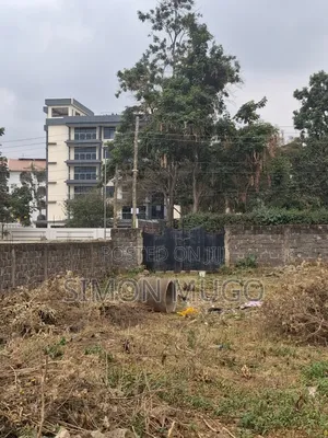 Safari Park Thika Road Prime 90x250 Behind APLUS MOTORS