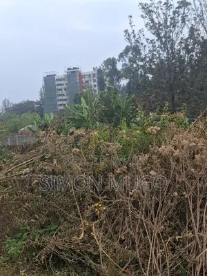 Safari Park Thika Road Prime 90x250 Behind APLUS MOTORS