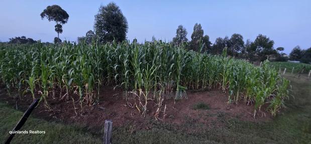 Full Plot Gor Sake in Sogomo Mti Moja Near Kuinet Junior in Eldoret