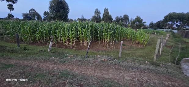 Full Plot Gor Sake in Sogomo Mti Moja Near Kuinet Junior in Eldoret - thumbnail 2