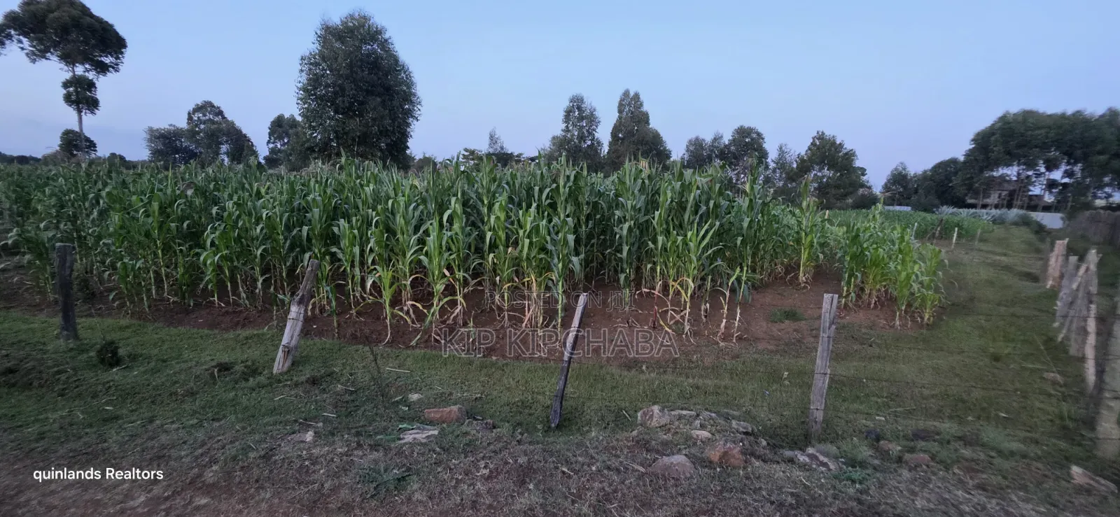 Full Plot Gor Sake in Sogomo Mti Moja Near Kuinet Junior in Eldoret