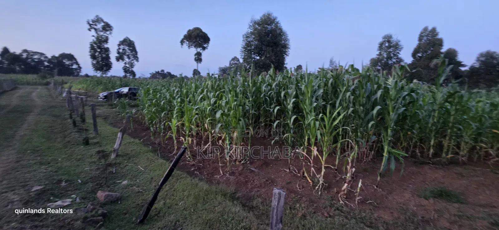 Full Plot Gor Sake in Sogomo Mti Moja Near Kuinet Junior in Eldoret