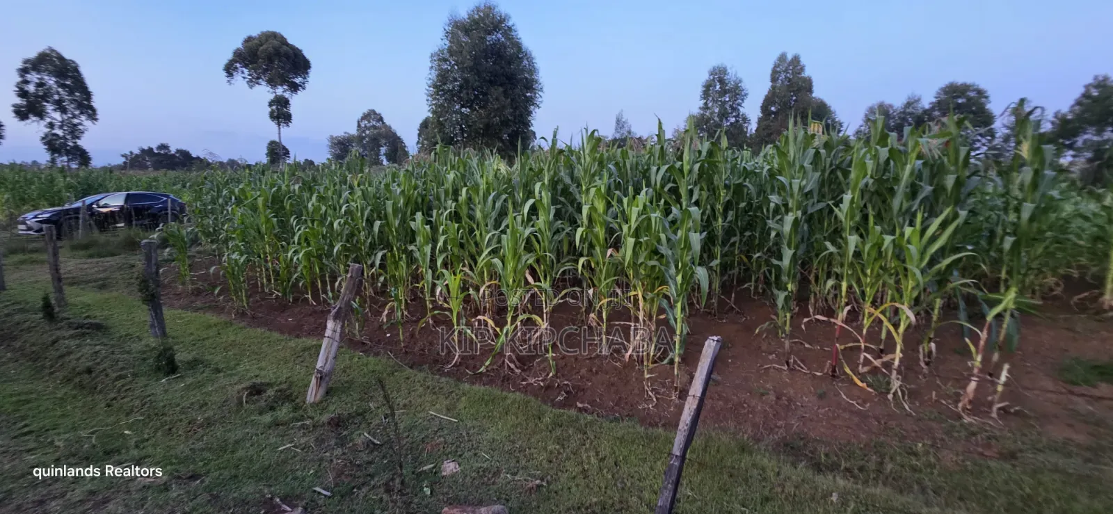 Full Plot Gor Sake in Sogomo Mti Moja Near Kuinet Junior in Eldoret