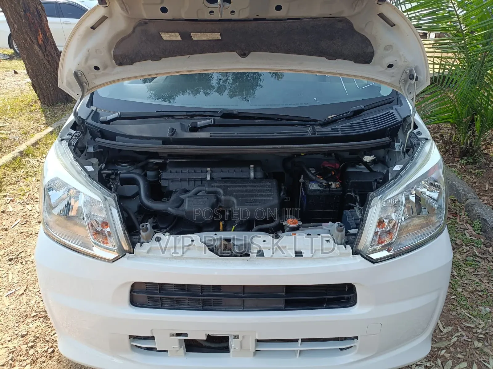 Daihatsu Move 2019 White