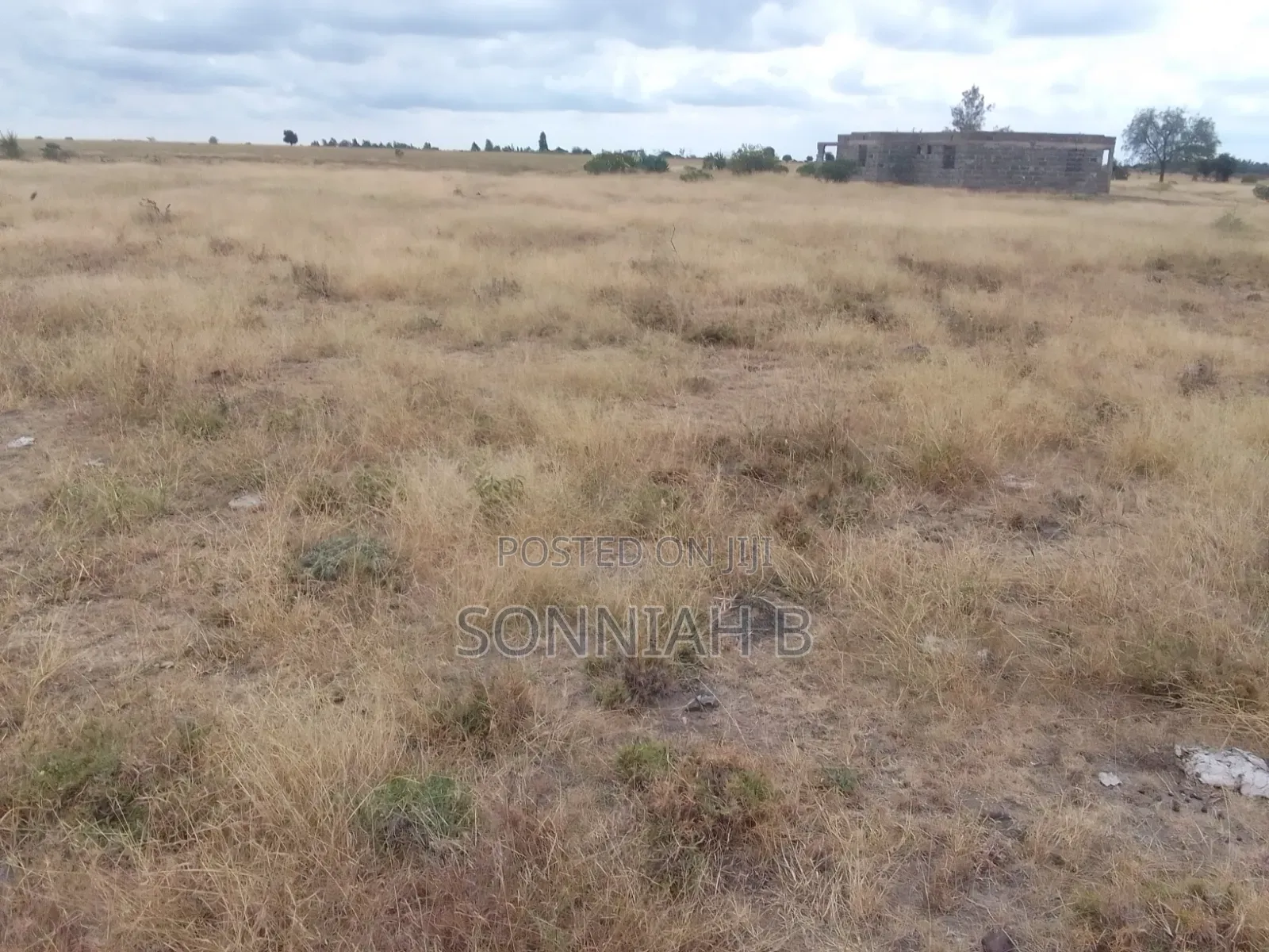 Land Plots for Sale