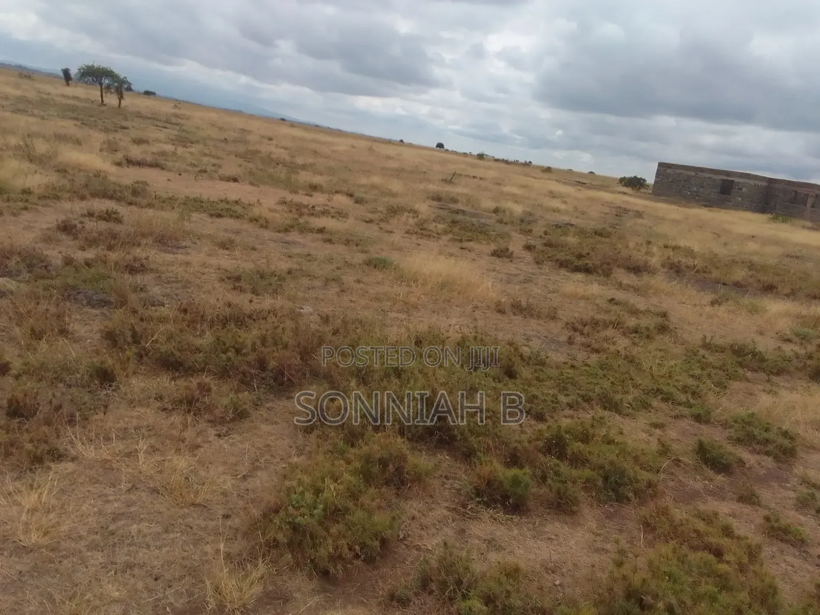 Land Plots for Sale
