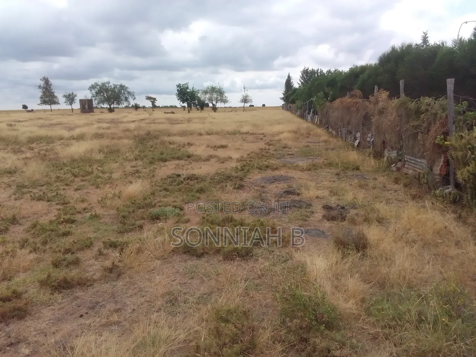 Land Plots for Sale