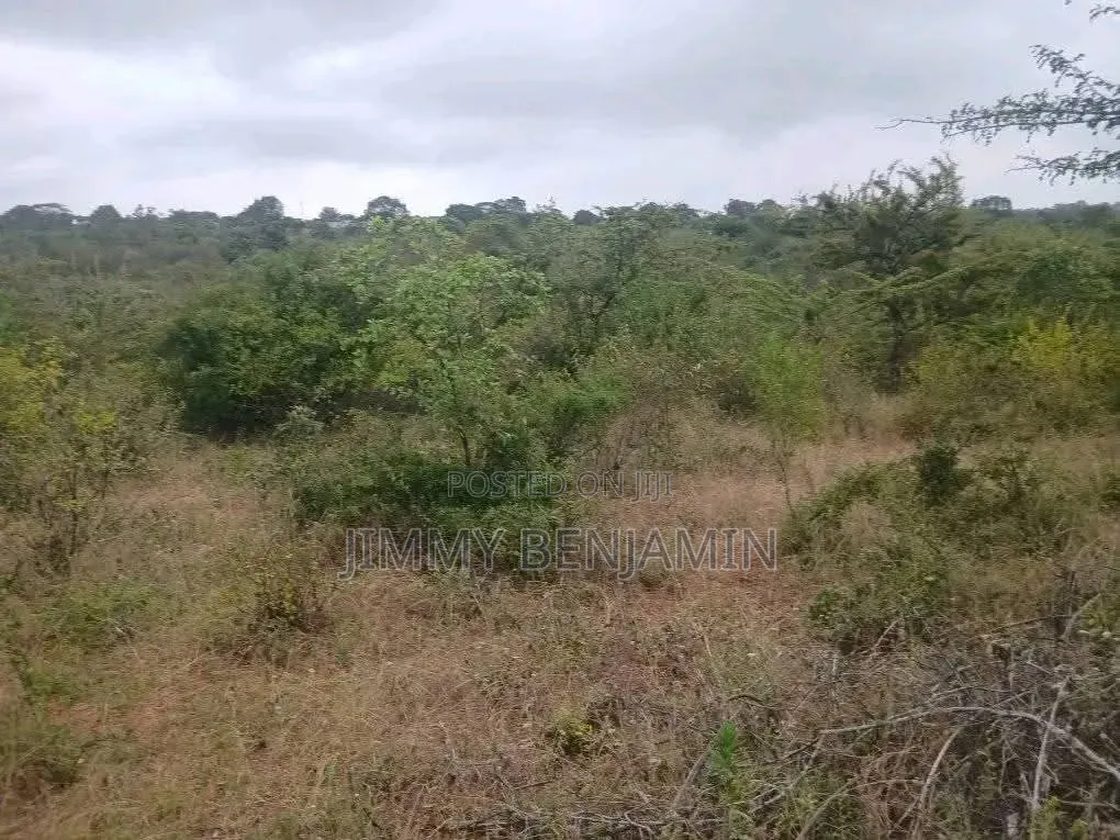 Land on Sale