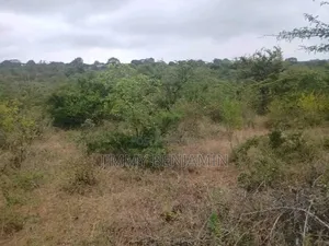 Land on Sale